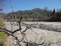 cantara Calatabiano18032012 024